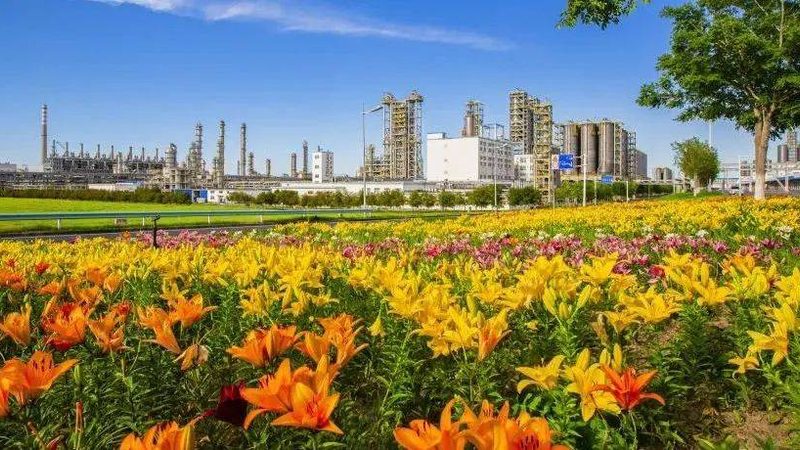 工业添加剂：揭秘常见型号与适用范围