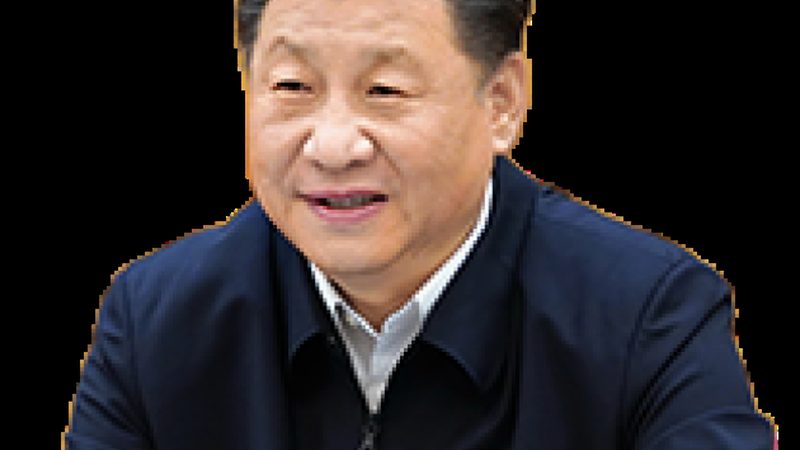 食品级无机化工原料：标准规范的解读与重要性